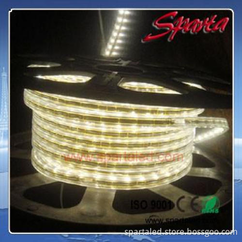 110v/220v led strip light waterproof IP67